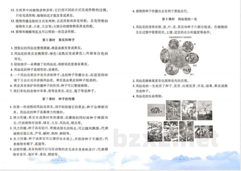 教科版四年级下册科学单元知识梳理 教科版四年级下册科学单元知识梳理