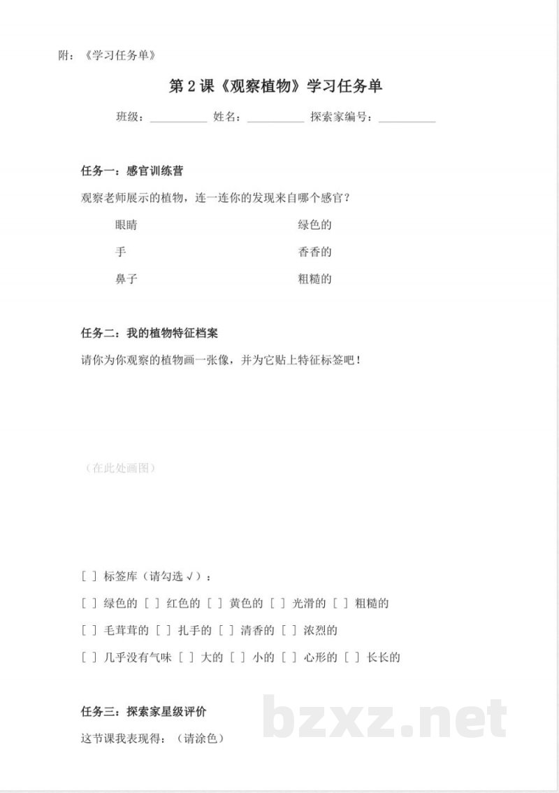 1.2《观察植物》教学设计 2025教科版科学一年级上册 1.2《观察植物》教学设计 2025教科版科学一年级上册