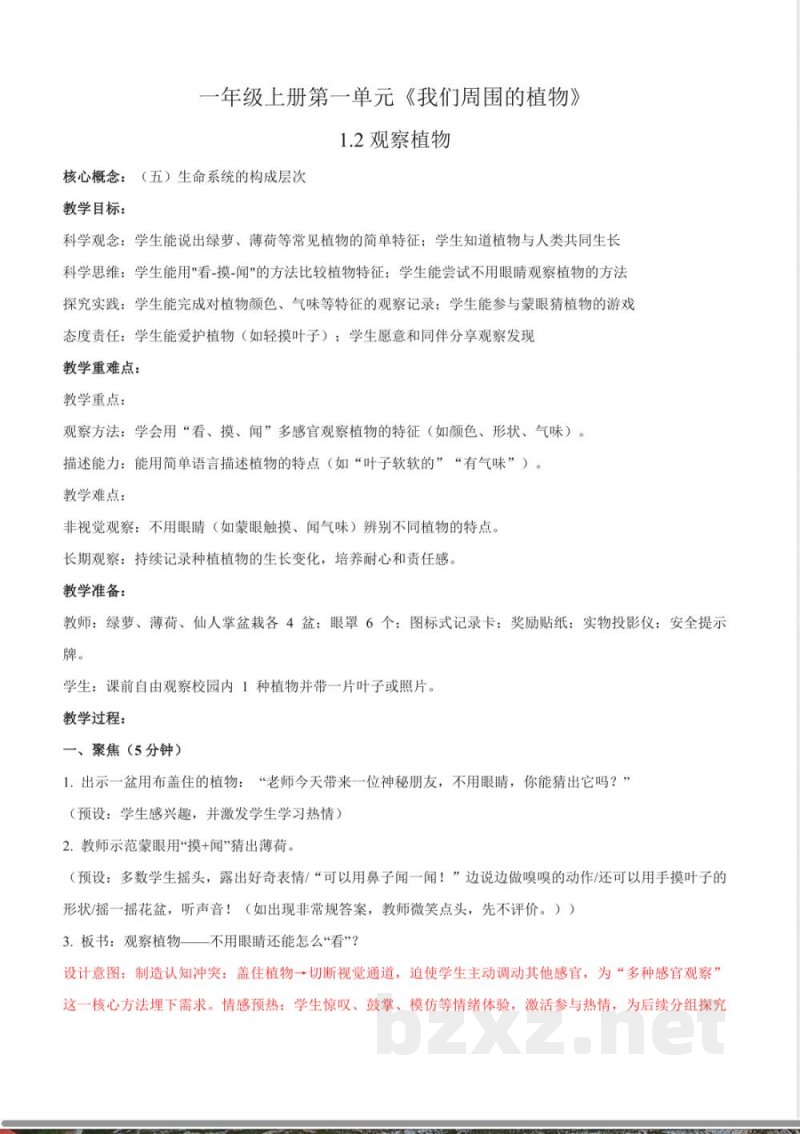 1.2《观察植物》教学设计 2025教科版科学一年级上册 1.2《观察植物》教学设计 2025教科版科学一年级上册