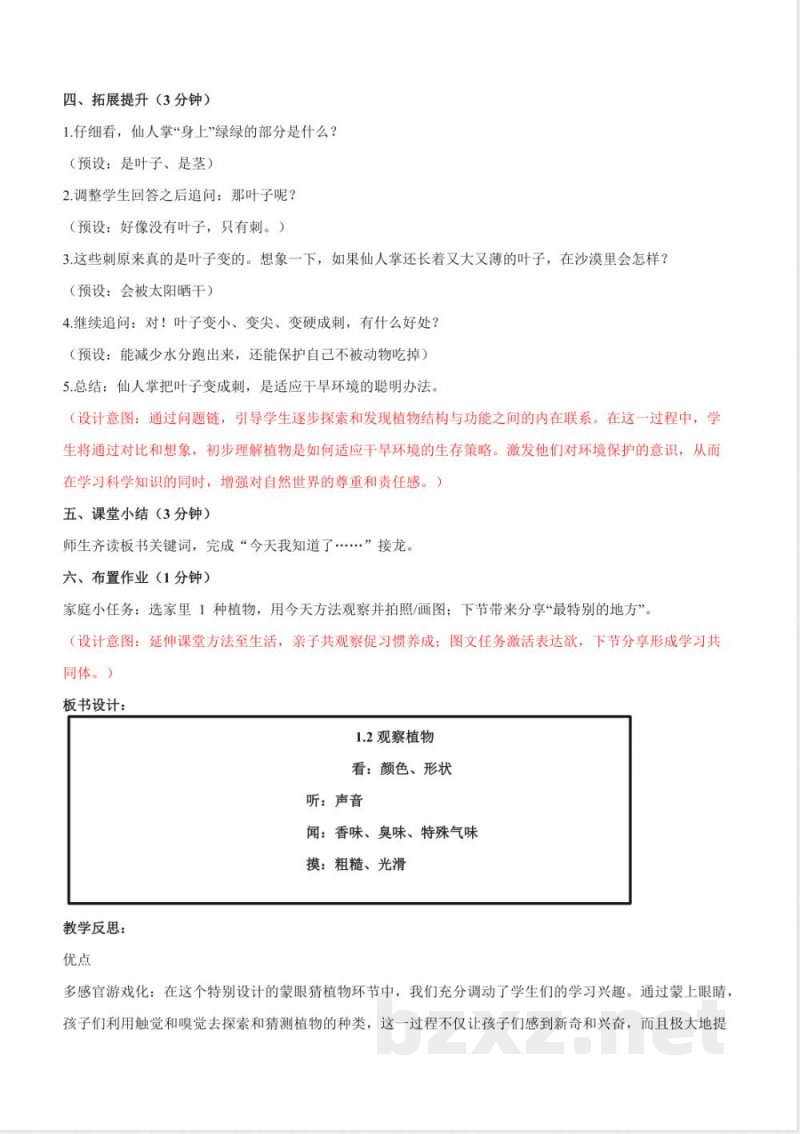 1.2《观察植物》教学设计 2025教科版科学一年级上册 1.2《观察植物》教学设计 2025教科版科学一年级上册