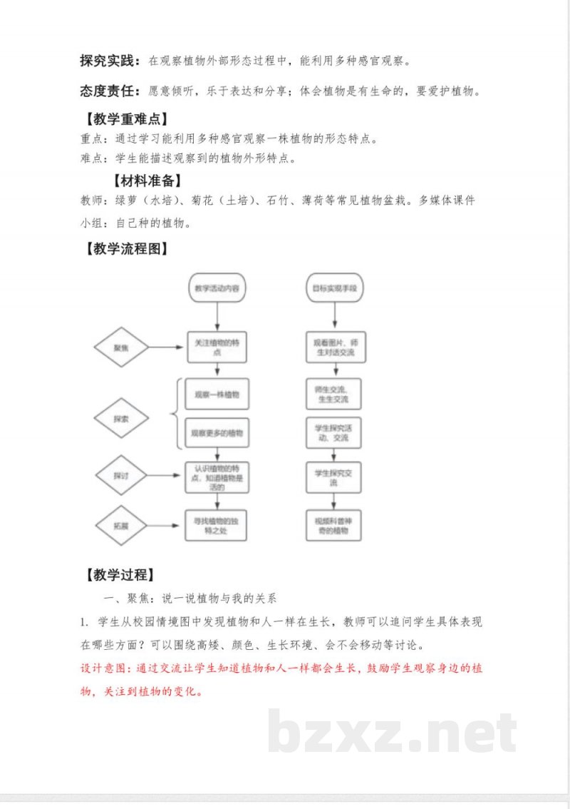 1.2《观察植物》教学设计 教科版科学一年级上册