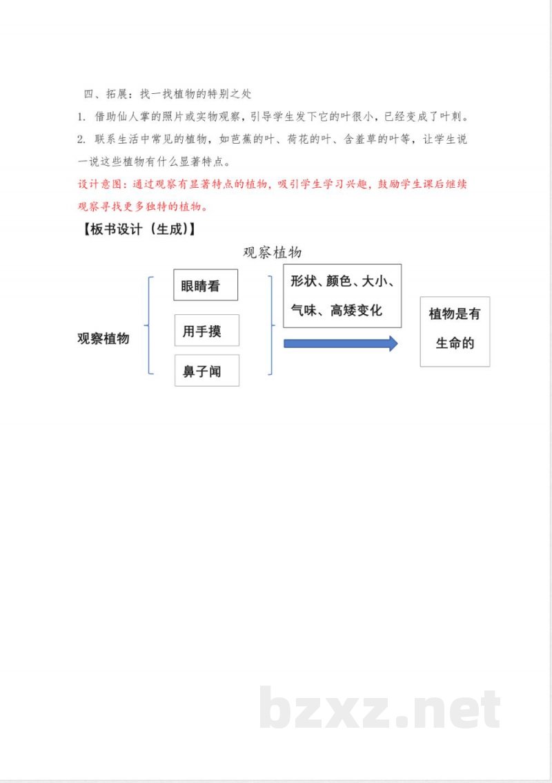 1.2《观察植物》教学设计 教科版科学一年级上册