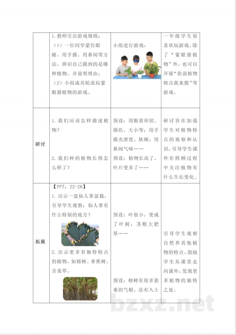 1.2 观察植物 教案 2025教科版科学一年级上册