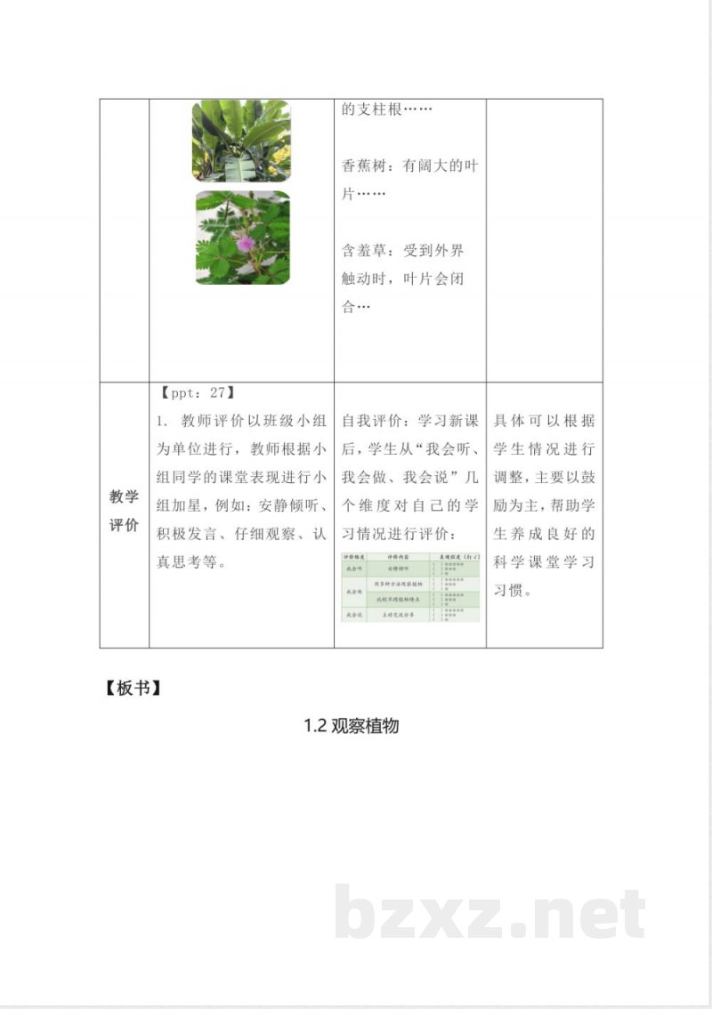 1.2 观察植物 教案 2025教科版科学一年级上册
