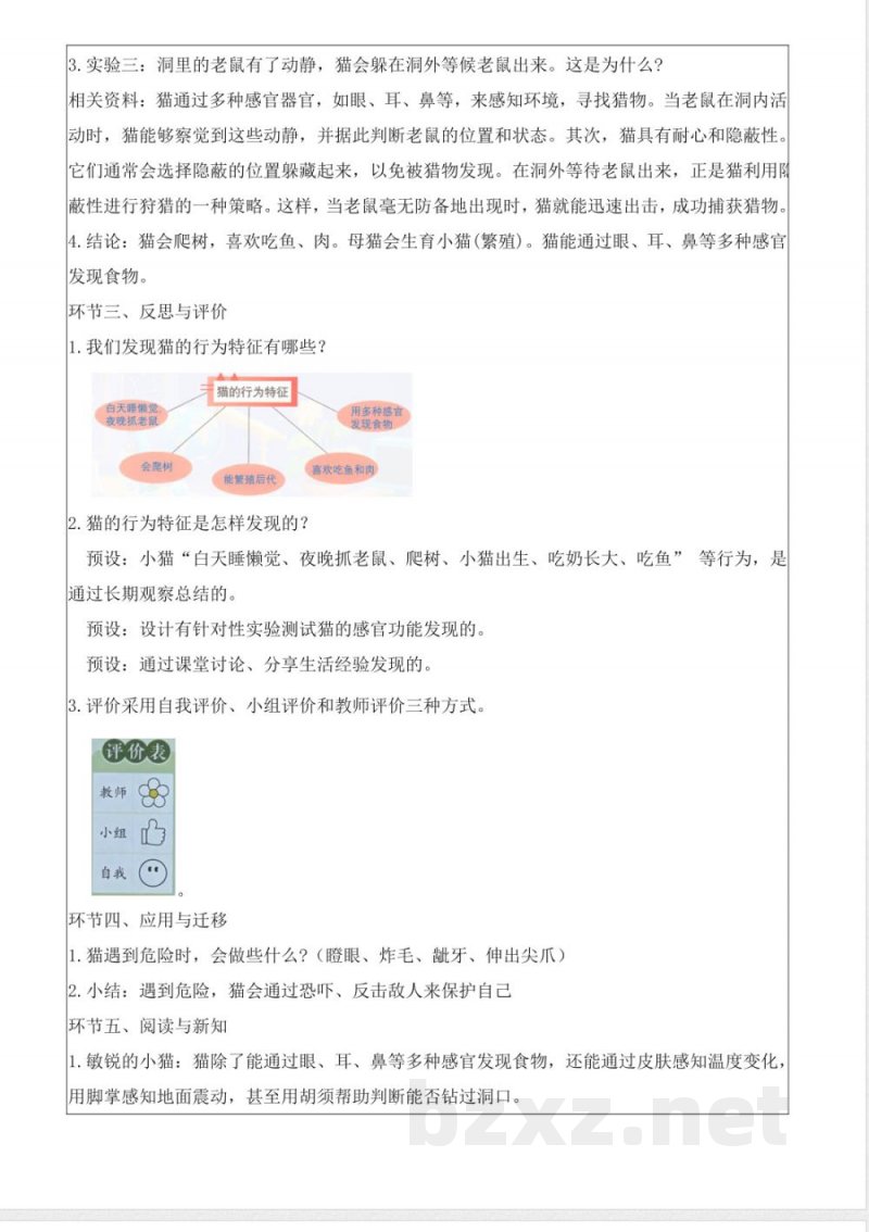 2.1 猫的生活（教学设计）科学大象版二年级上册2025