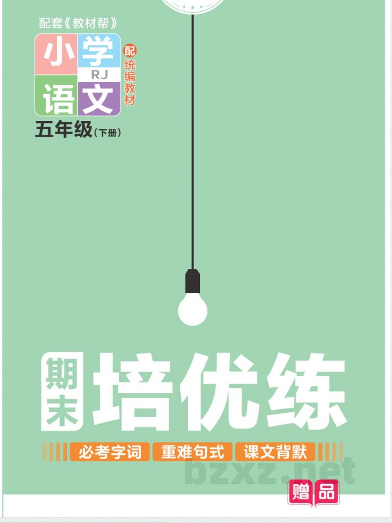 统编版语文五年级下册《期末专项培优练》