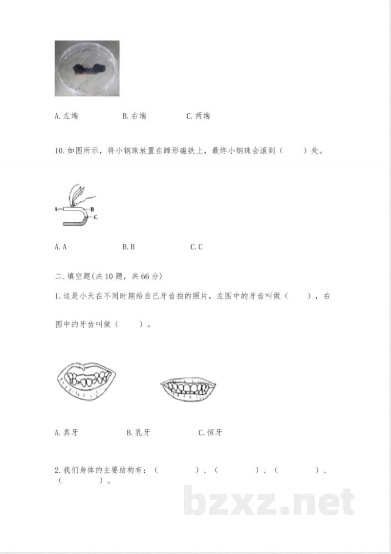教科版二年级下册科学知识点期末测试卷丨精品(名师系列)