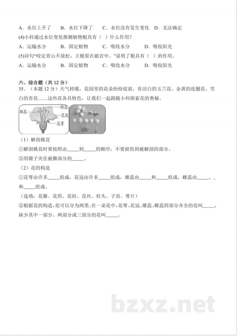 第一单元 观察植物(单元测试)科学粤教粤科版三年级上册 A4版 第一单元 观察植物(单元测试)科学粤教粤科版三年级上册 A4版