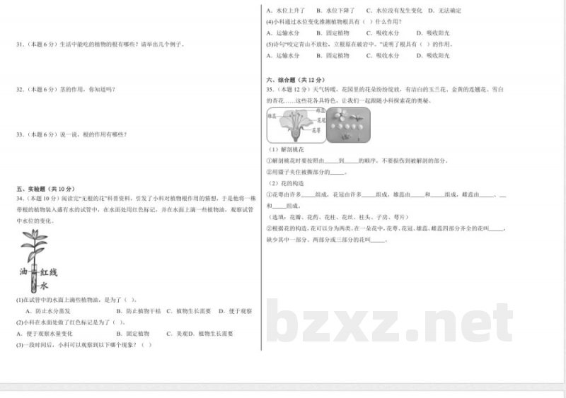第一单元 观察植物（单元测试）科学粤教粤科版三年级上册 A3版