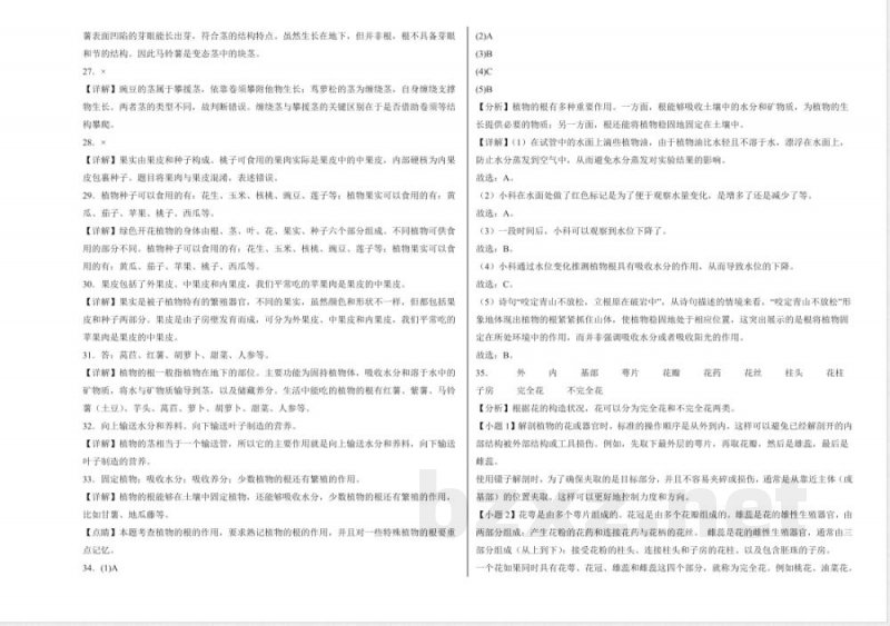 第一单元 观察植物（单元测试）科学粤教粤科版三年级上册 A3版