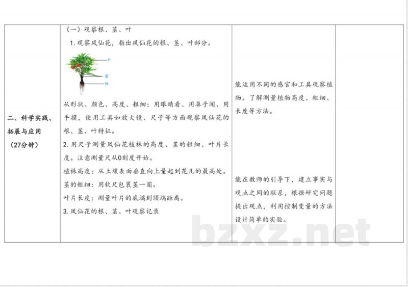 6.根茎叶 教案 人教鄂教版科学三年级下册