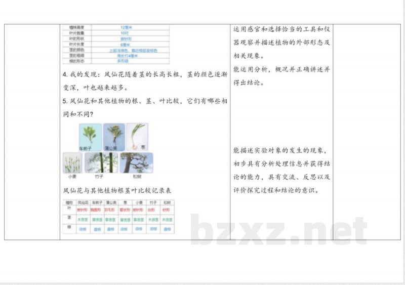 6.根茎叶 教案 人教鄂教版科学三年级下册