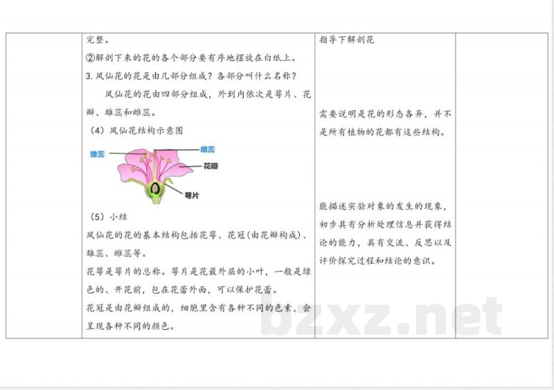 7.花果实种子 教案 人教鄂教版科学三年级下册