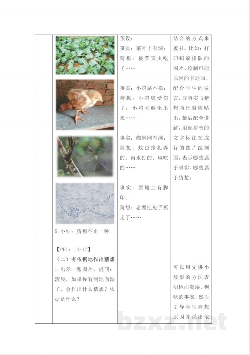 3.7 事实与猜想 教案 2025苏教版科学一年级上册 3.7 事实与猜想 教案 2025苏教版科学一年级上册