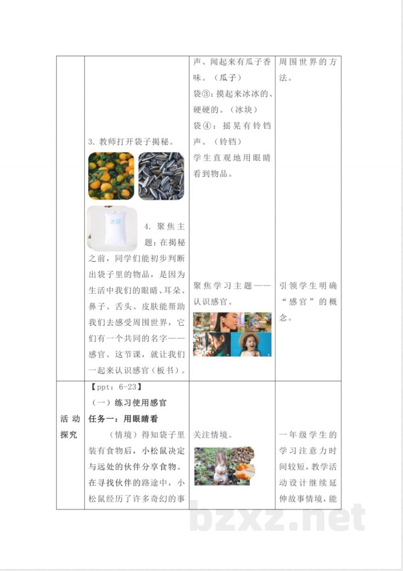 2.4 认识感官 教案 2025苏教版科学一年级上册 2.4 认识感官 教案 2025苏教版科学一年级上册