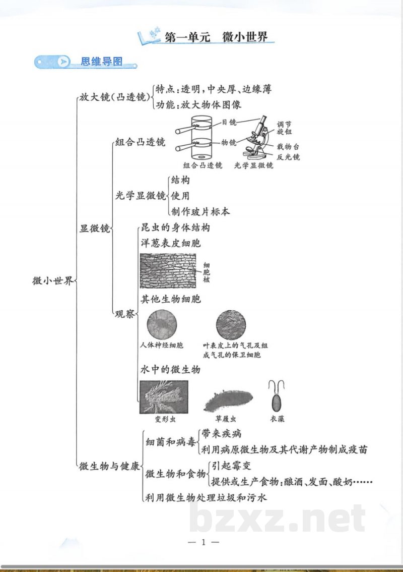 教科版25秋小学科学六年级上册单元知识点 教科版25秋小学科学六年级上册单元知识点