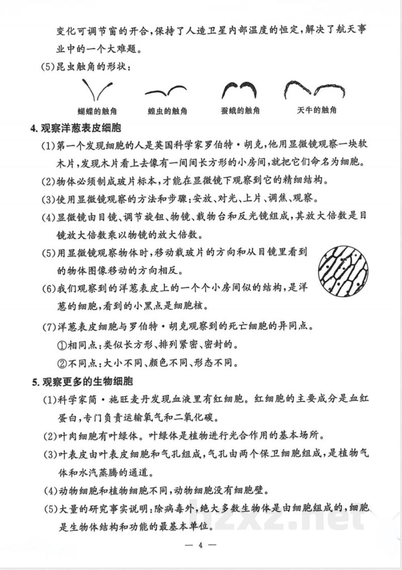 教科版25秋小学科学六年级上册单元知识点 教科版25秋小学科学六年级上册单元知识点