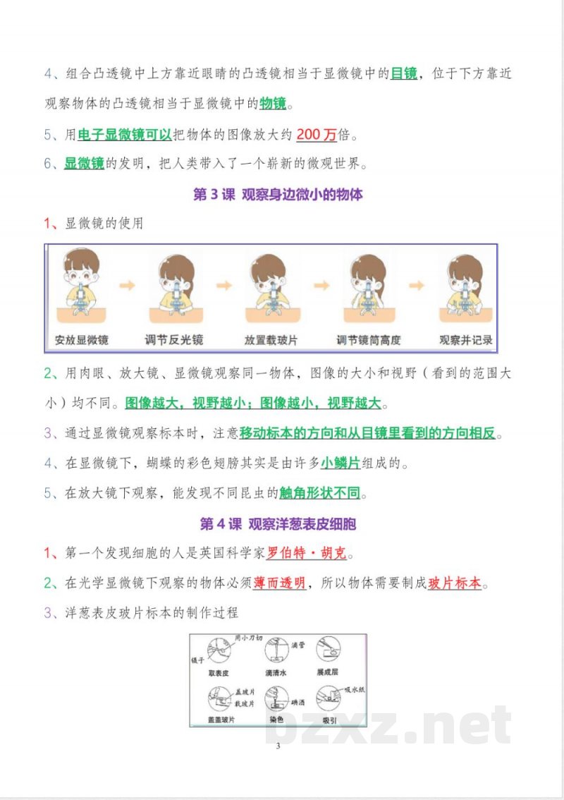 教科版小升初六年级上册科学全册知识点精准梳理 教科版小升初六年级上册科学全册知识点精准梳理