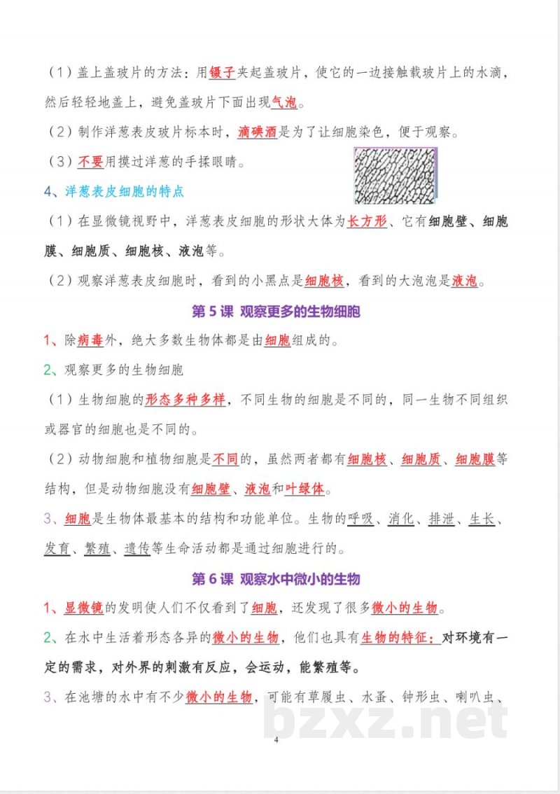 教科版小升初六年级上册科学全册知识点精准梳理 教科版小升初六年级上册科学全册知识点精准梳理