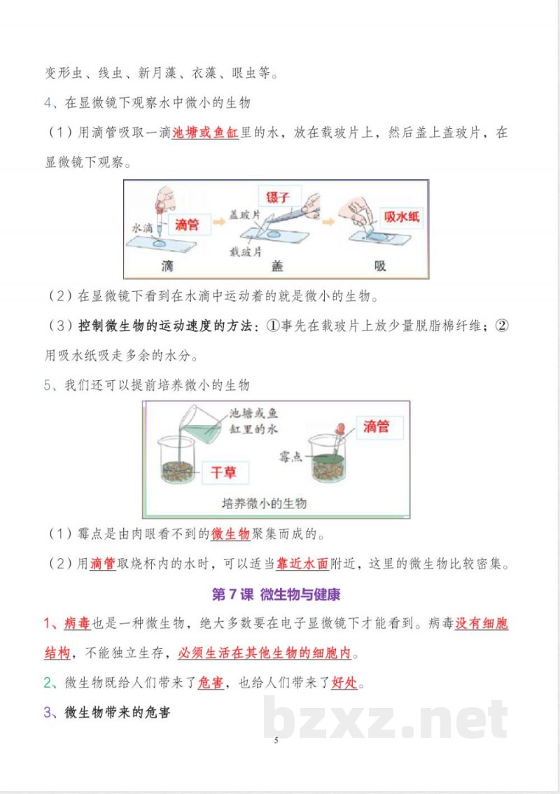 教科版小升初六年级上册科学全册知识点精准梳理 教科版小升初六年级上册科学全册知识点精准梳理