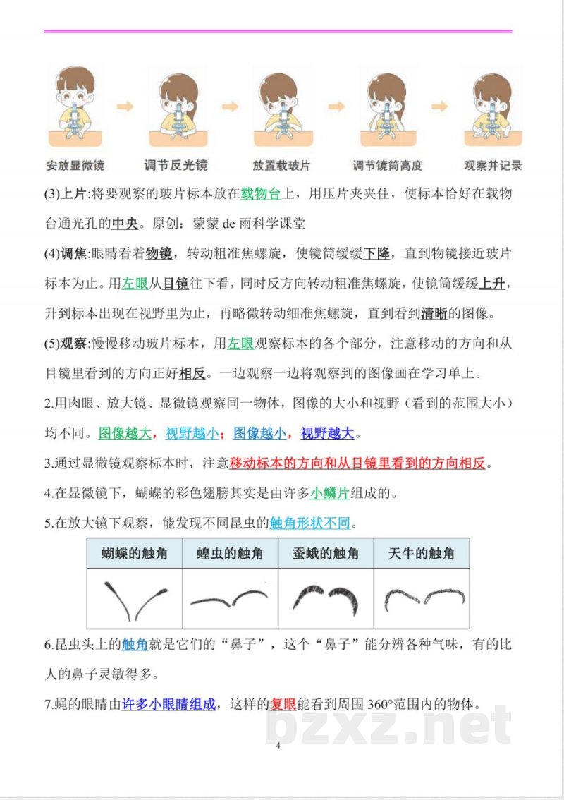 新改版教科版科学六年级上册全册精编知识点 新改版教科版科学六年级上册全册精编知识点