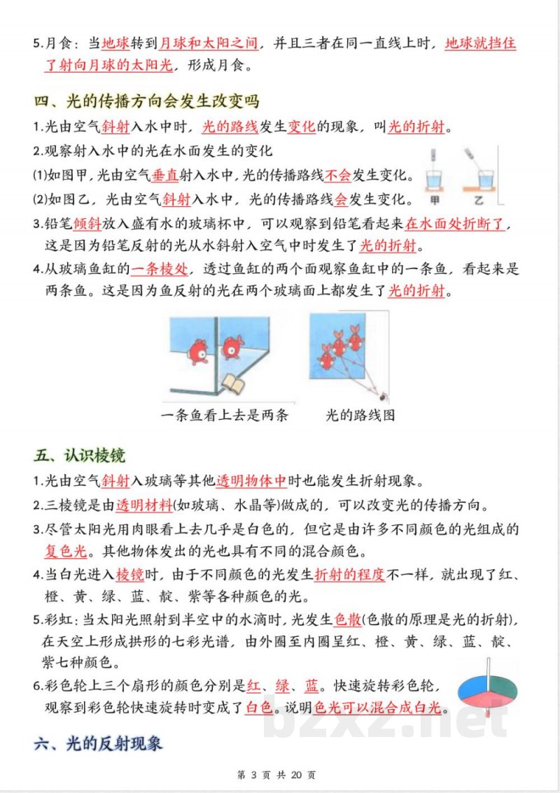 2025年新教科版五年级上册科学全册知识点