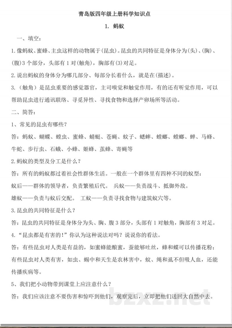 五四制青岛版四年级上册科学全册知识点