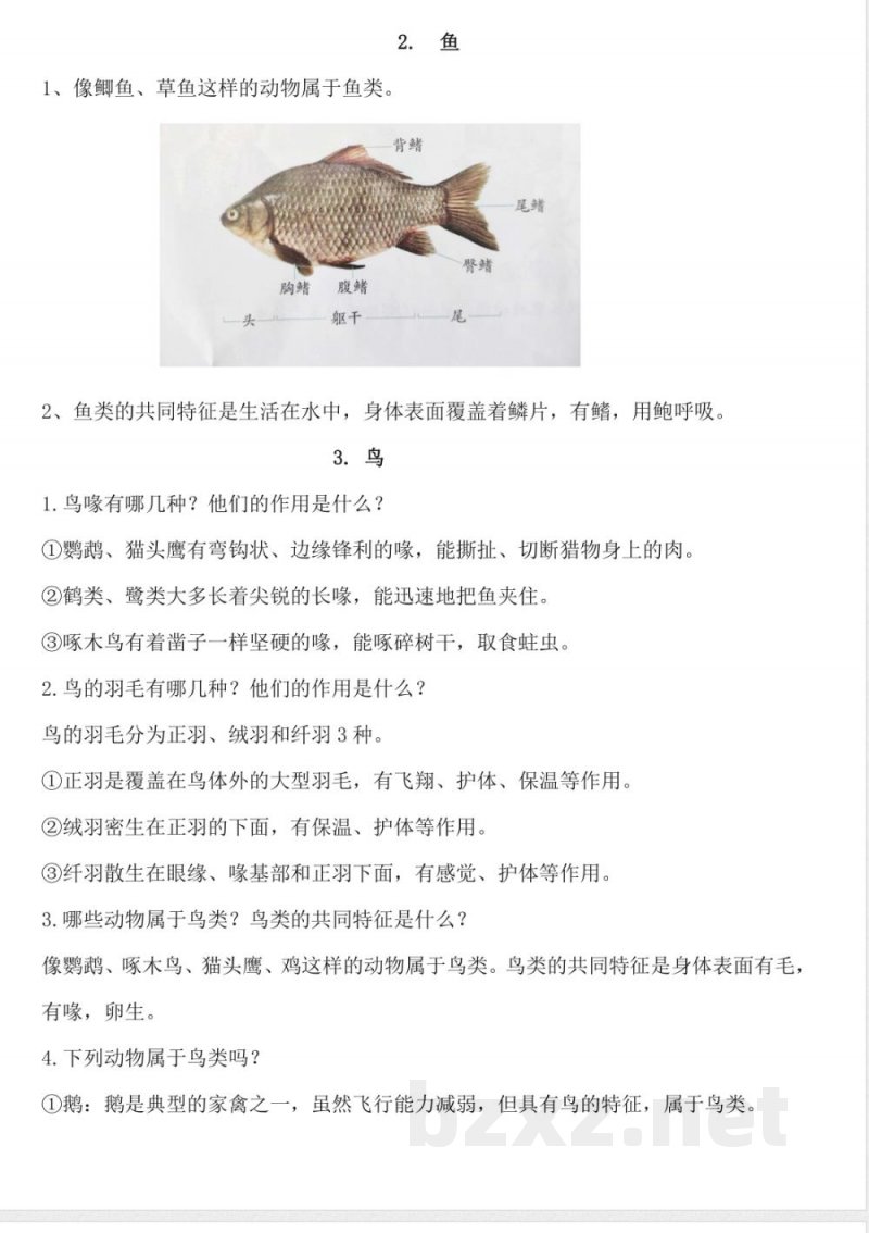 五四制青岛版四年级上册科学全册知识点