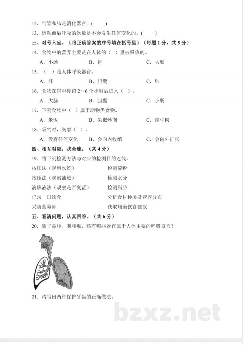 第四单元 消化与呼吸(单元测试)科学人教鄂教版三年级上册 A4版 第四单元 消化与呼吸(单元测试)科学人教鄂教版三年级上册 A4版