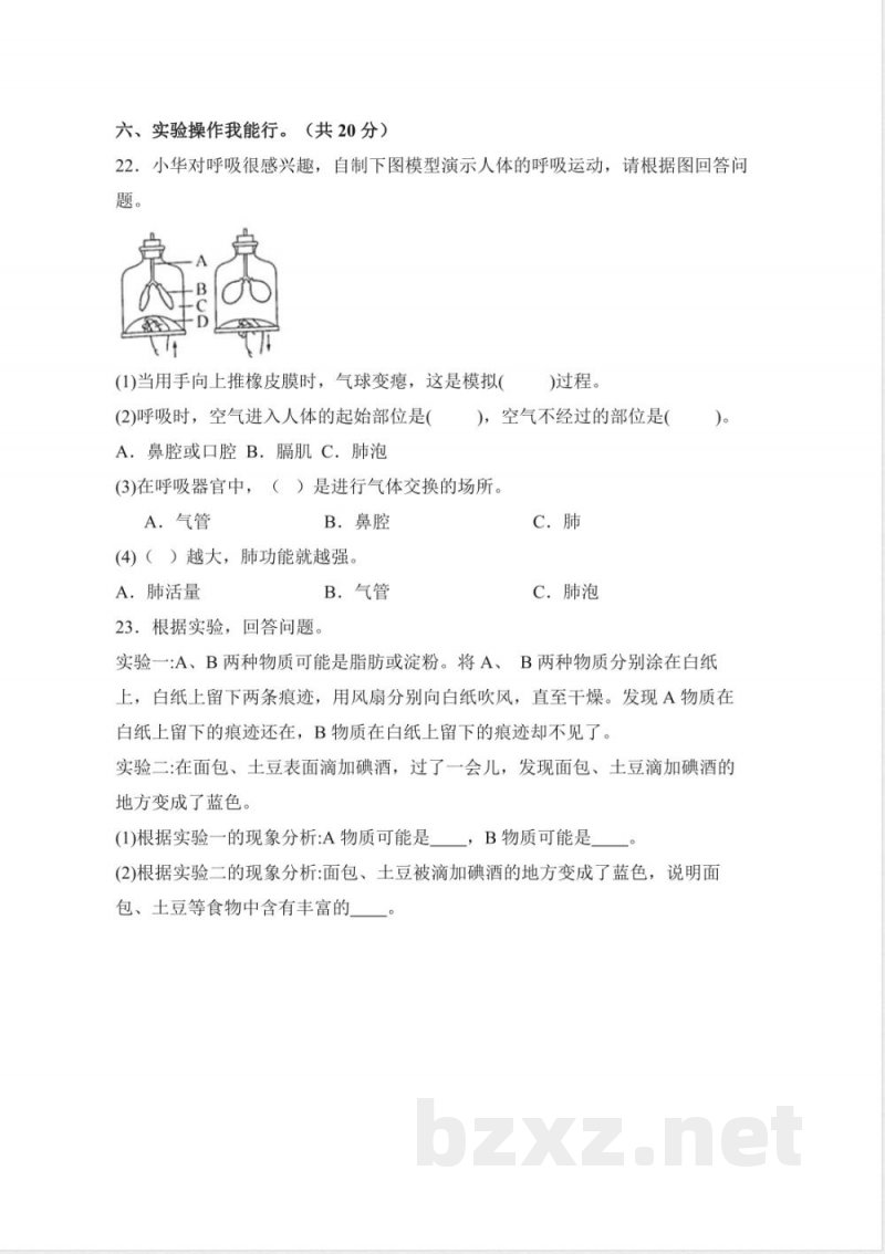 第四单元 消化与呼吸(单元测试)科学人教鄂教版三年级上册 A4版 第四单元 消化与呼吸(单元测试)科学人教鄂教版三年级上册 A4版