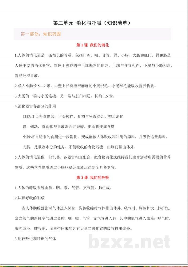第二单元 消化与呼吸(知识清单)科学湘科版四年级上册 第二单元 消化与呼吸(知识清单)科学湘科版四年级上册