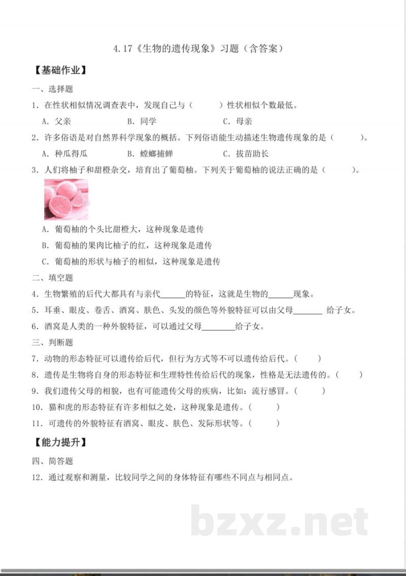 4.17 生物的遗传现象（分层作业）科学粤教版六年级上册
