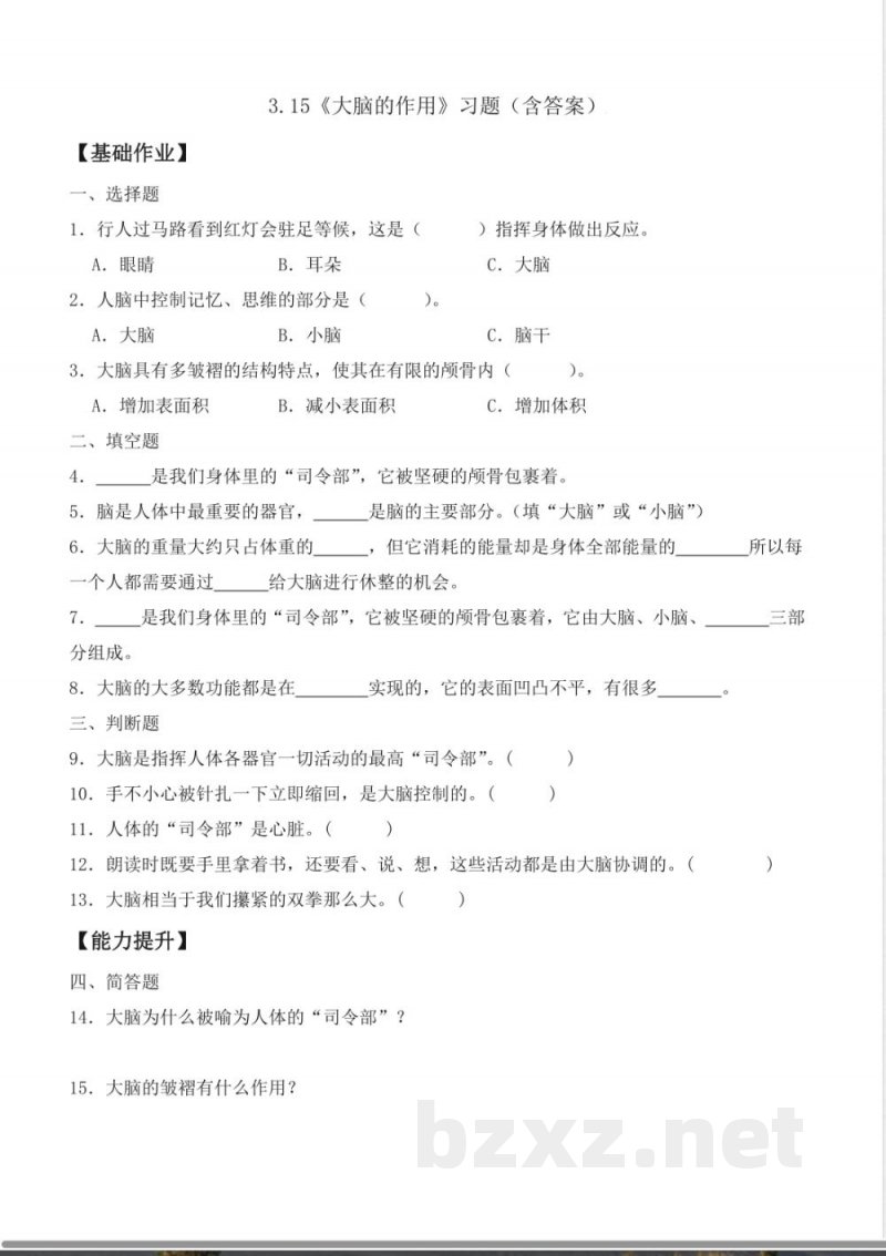 3.15 大脑的作用（分层作业）科学粤教版六年级上册
