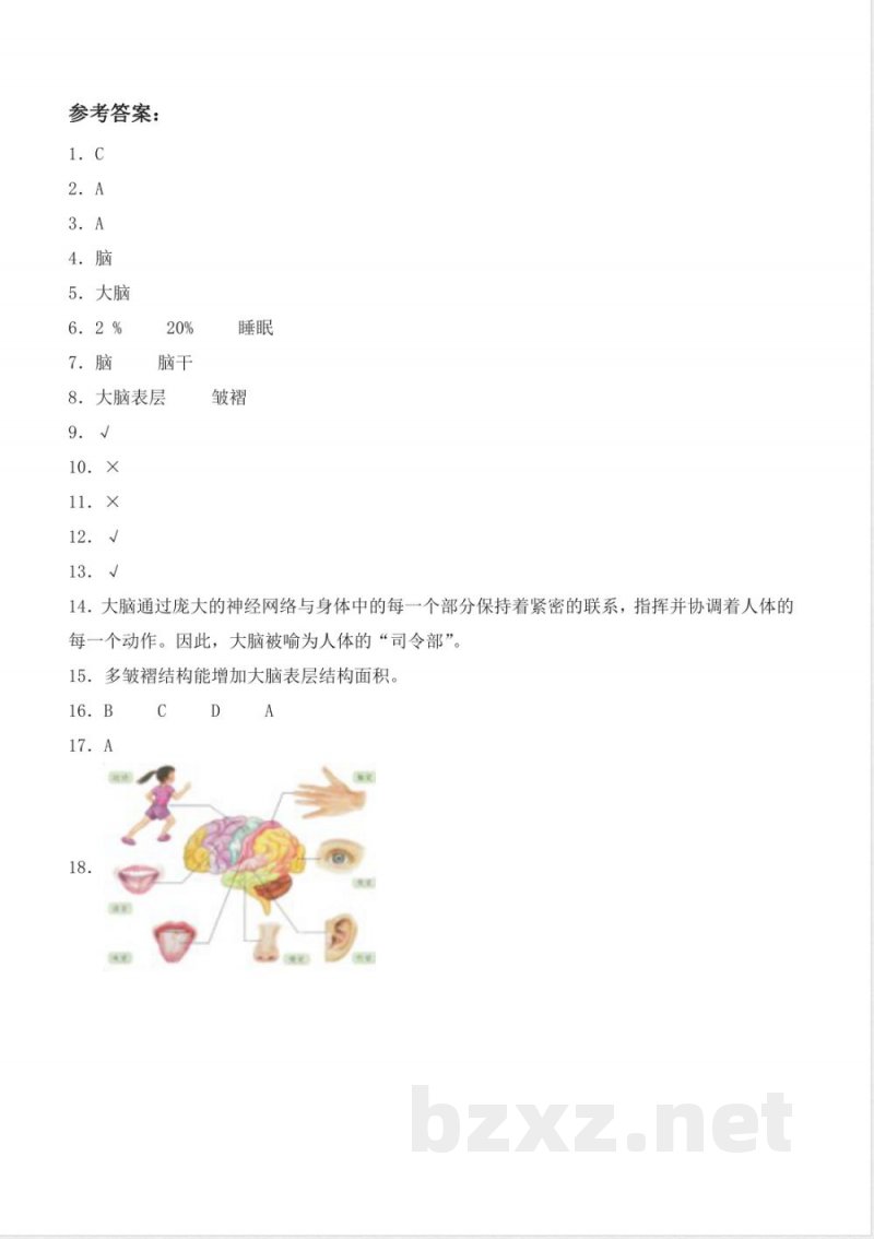 3.15 大脑的作用（分层作业）科学粤教版六年级上册