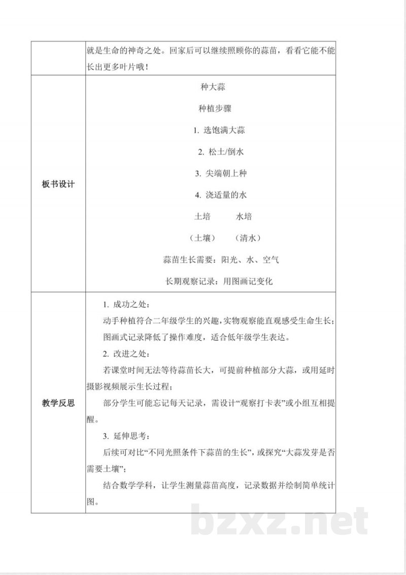 1.5 种大蒜（教学设计）科学青岛版二年级上册（新教材）