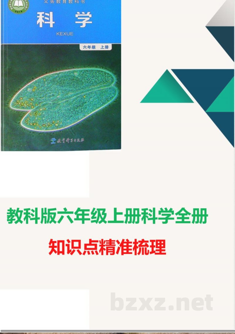 教科版六年级上册科学全册知识点精准梳理 教科版六年级上册科学全册知识点精准梳理
