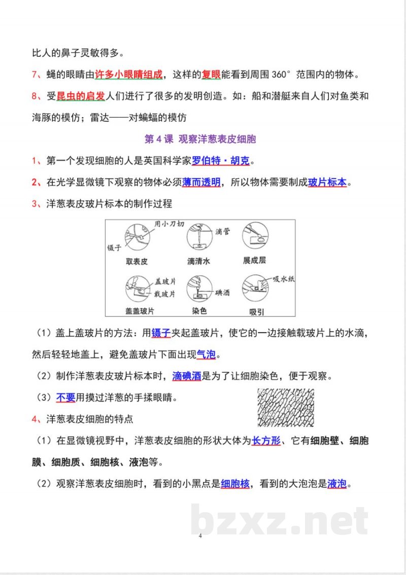 教科版六年级上册科学全册知识点精准梳理 教科版六年级上册科学全册知识点精准梳理