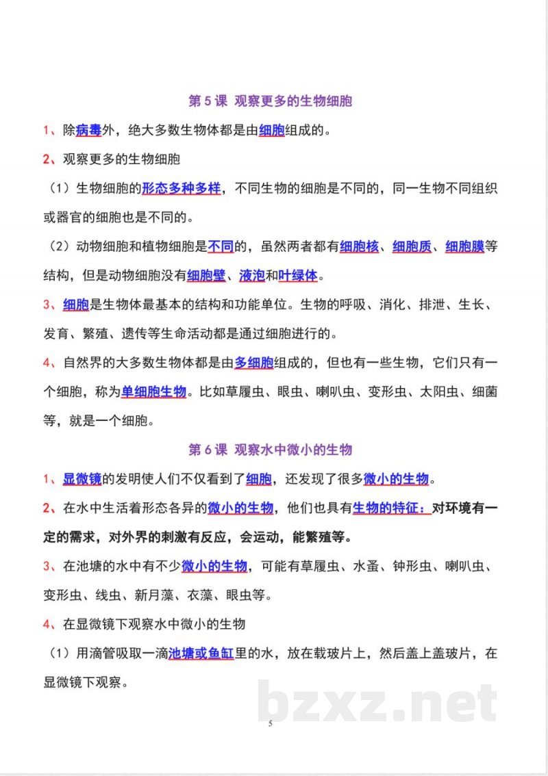 教科版六年级上册科学全册知识点精准梳理 教科版六年级上册科学全册知识点精准梳理