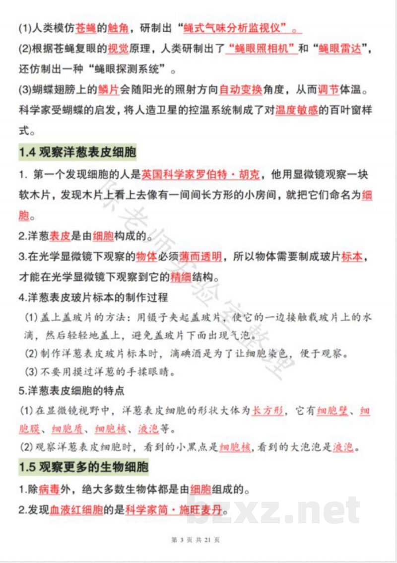 2025新教科版六年级科学上册期末必备知识点