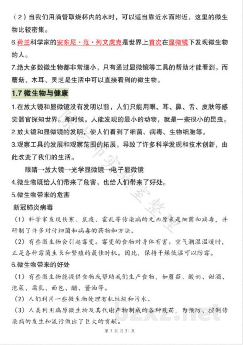 2025新教科版六年级科学上册期末必备知识点