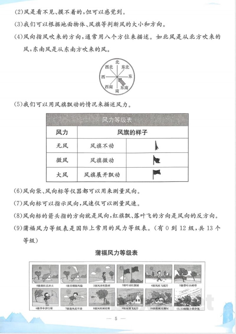 教科版25秋小学科学三年级上册单元知识点 教科版25秋小学科学三年级上册单元知识点