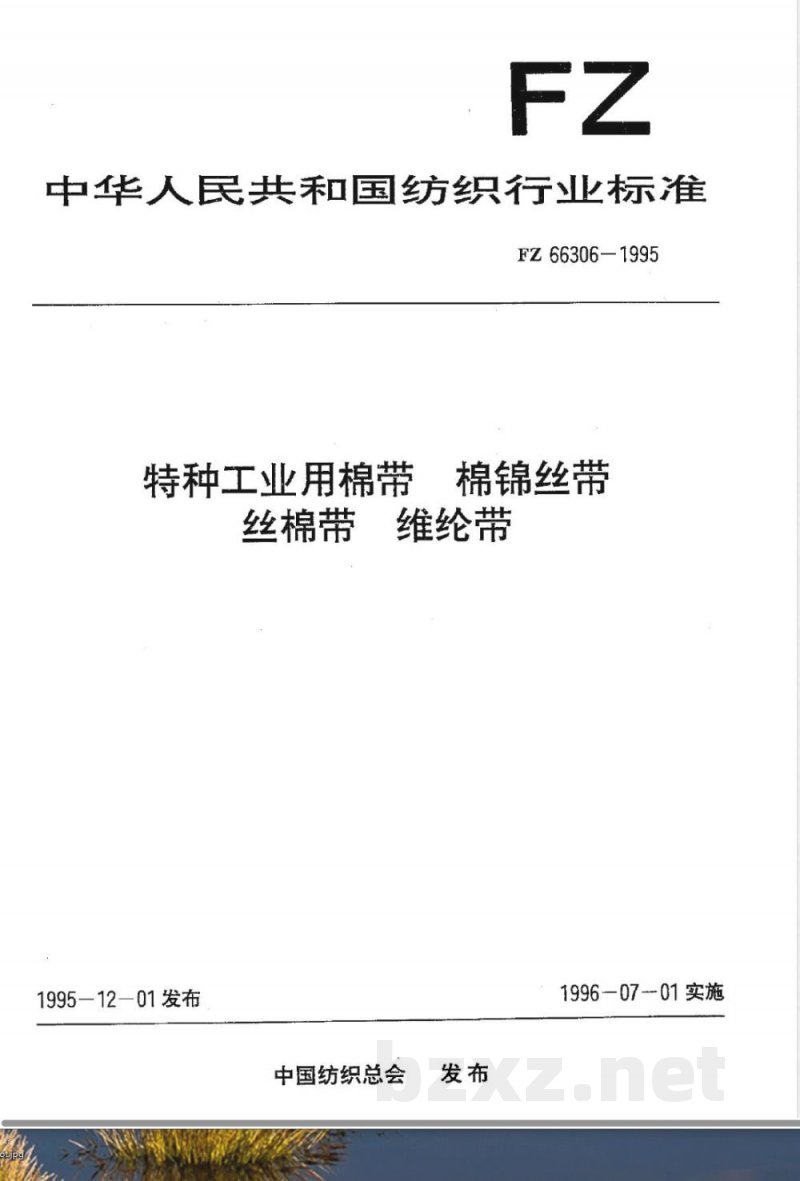 FZ/T 66306-1995特种工业用棉带 棉锦丝带 丝棉带 维纶带 