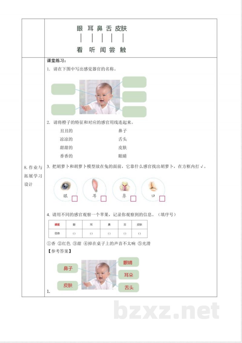 2.5《认识感觉器官》教案 2025科学粤教粤科版二年级上册 2.5《认识感觉器官》教案 2025科学粤教粤科版二年级上册
