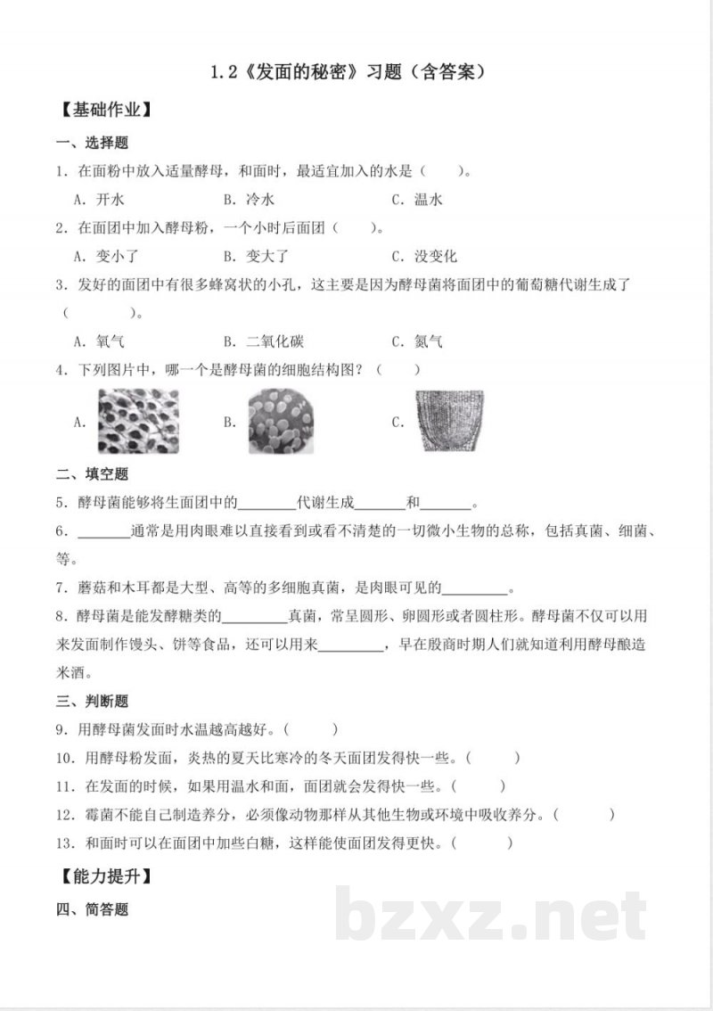 大象版科学六年级上册全册同步分层练习含答案