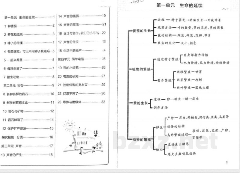 粤教版（25秋）小学科学四年级上册基础知识总结（全册）