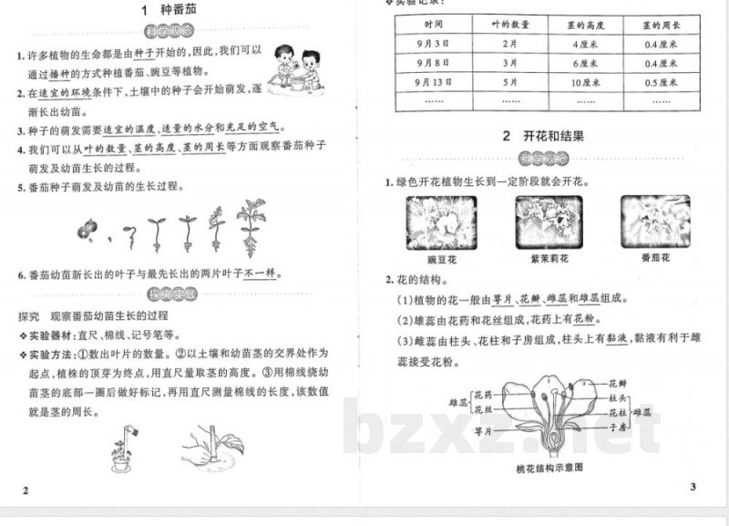 粤教版（25秋）小学科学四年级上册基础知识总结（全册）