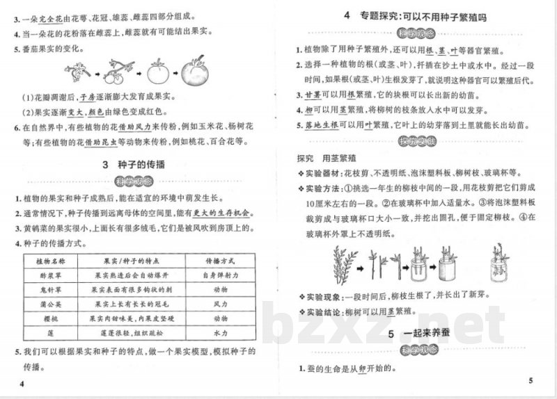 粤教版（25秋）小学科学四年级上册基础知识总结（全册）
