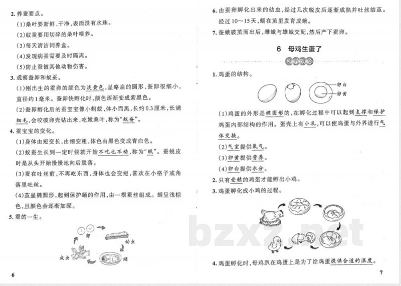 粤教版（25秋）小学科学四年级上册基础知识总结（全册）