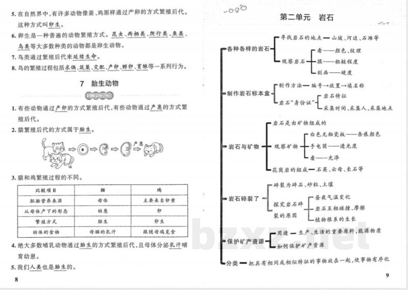 粤教版（25秋）小学科学四年级上册基础知识总结（全册）