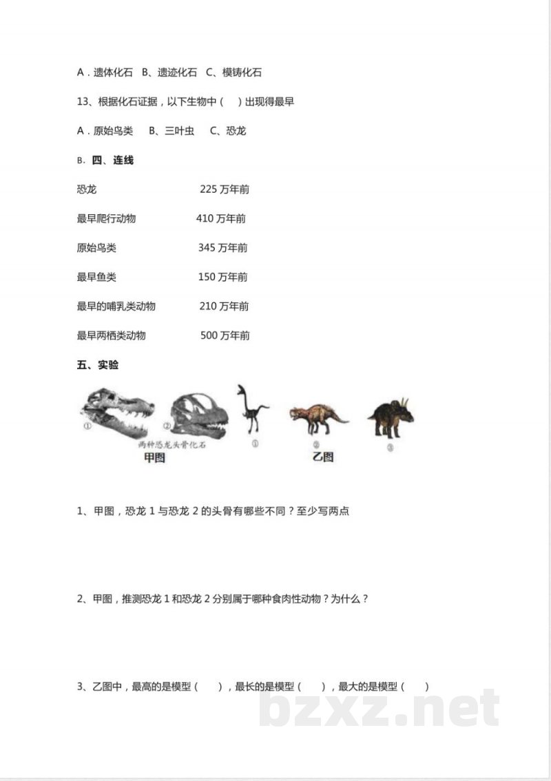 新苏教版六年级上册科学第三单元《化石的奥秘》综合练习一